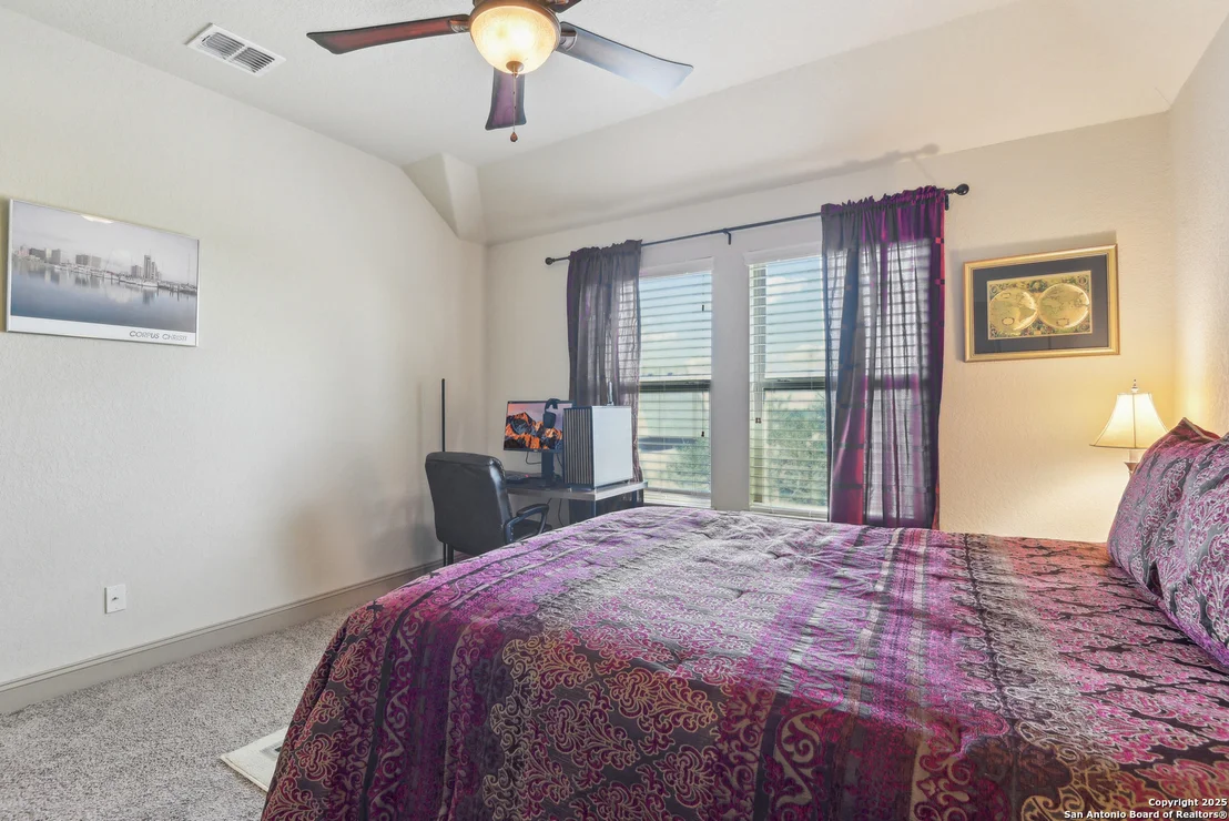 Photo of 25612 Santolina