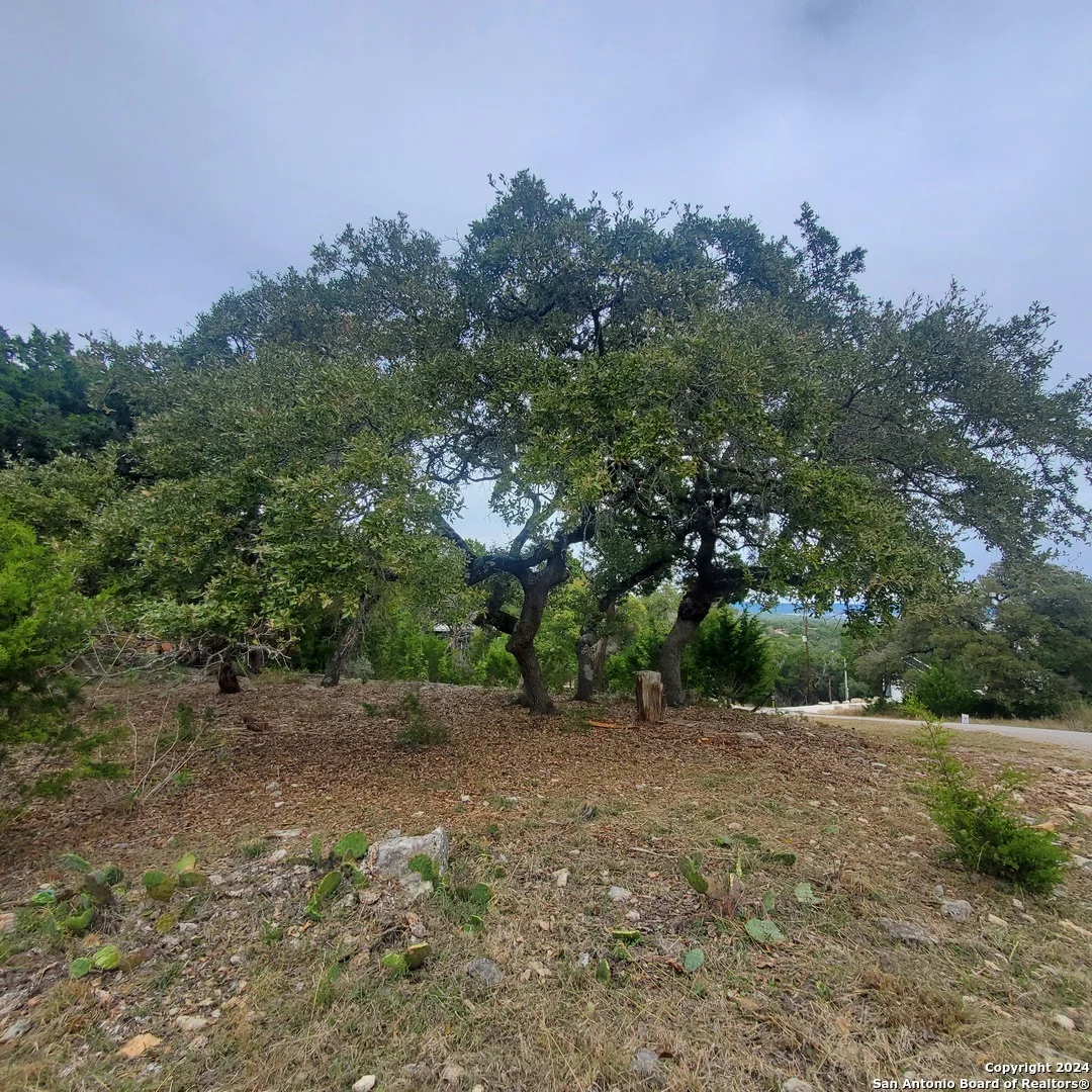 Photo of 152 mountainview