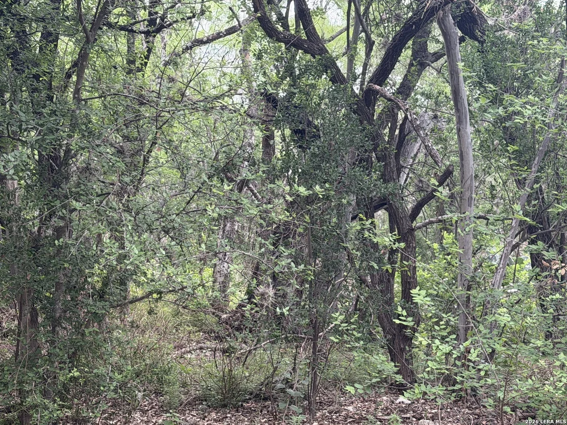 Photo of 6197 Ranch Road 1120