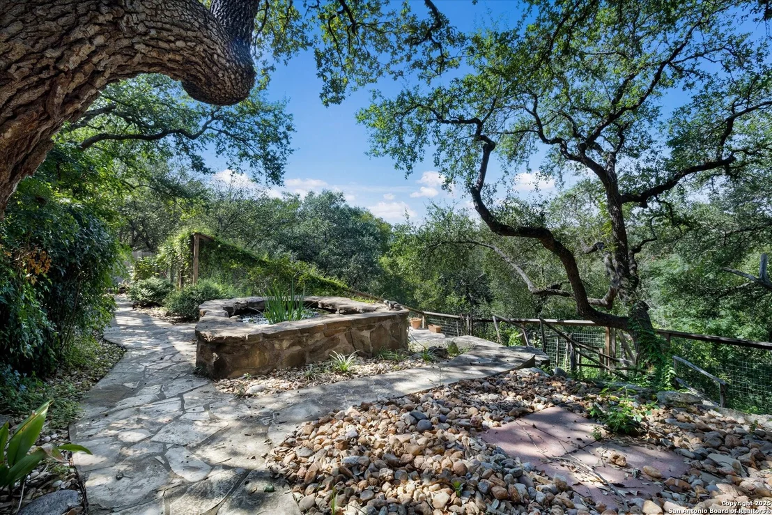 Photo of 2663 Rim Oak