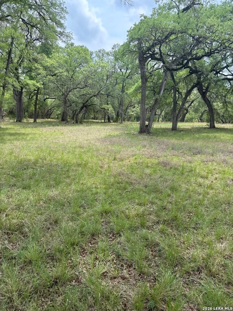 Photo of 595 CANYON FRST