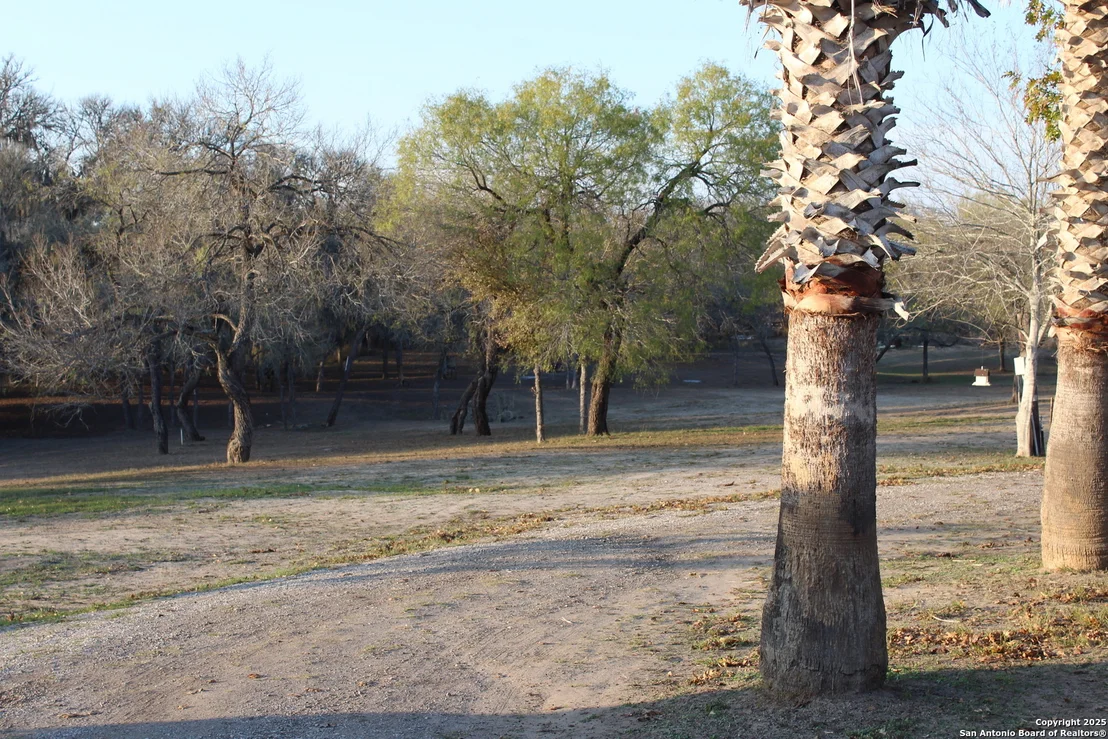 Photo of 123 Choke Canyon Estates