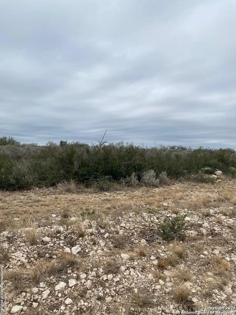 Photo of 92 PALOMINO HILLS CIR