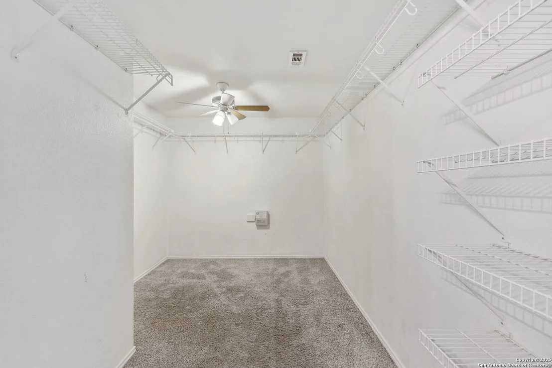 Photo of 284 Texas Mulberry