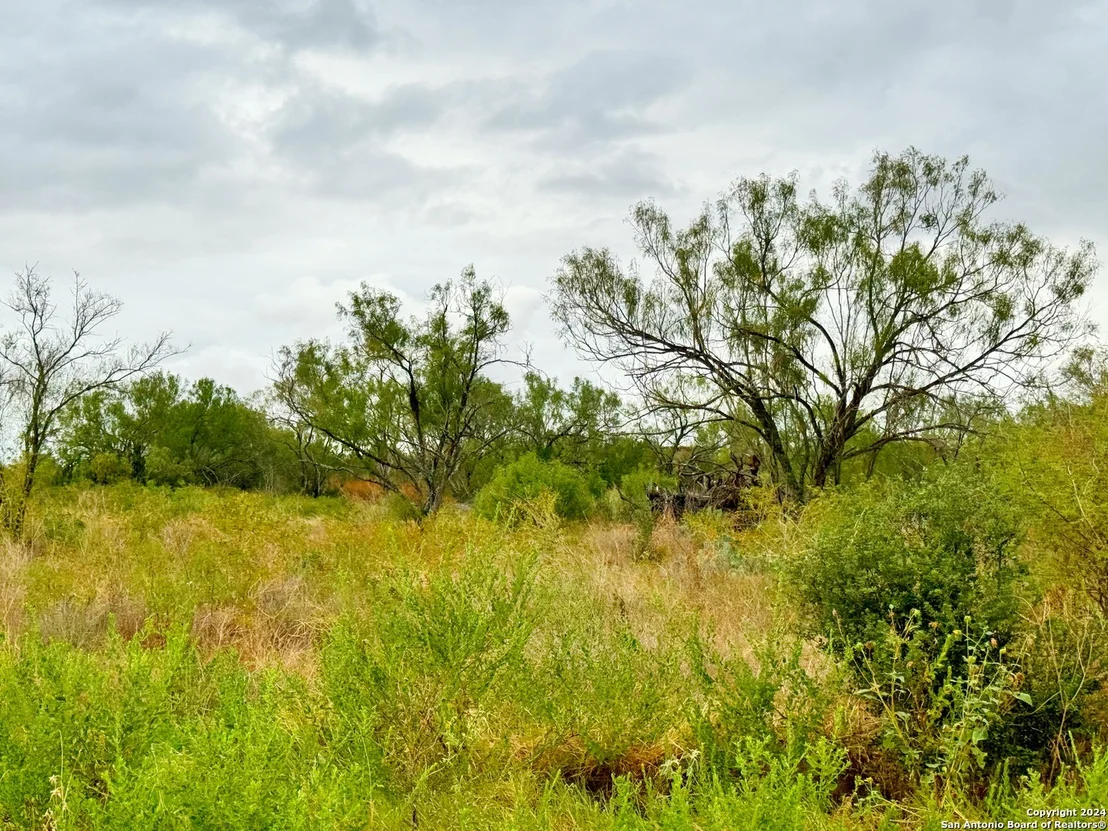 Photo of 103 CR 2636
