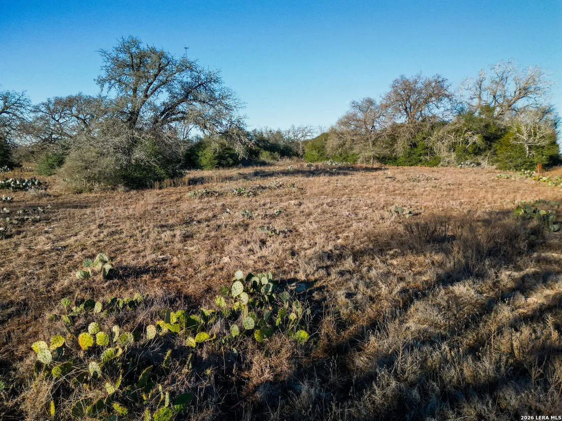 Photo of TBD Sandy Pine