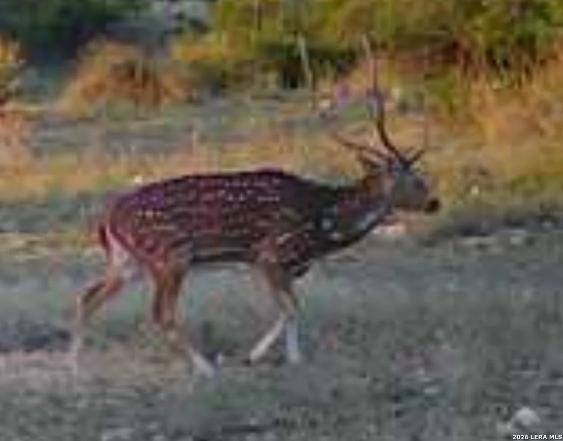 Photo of 0 W CR 450