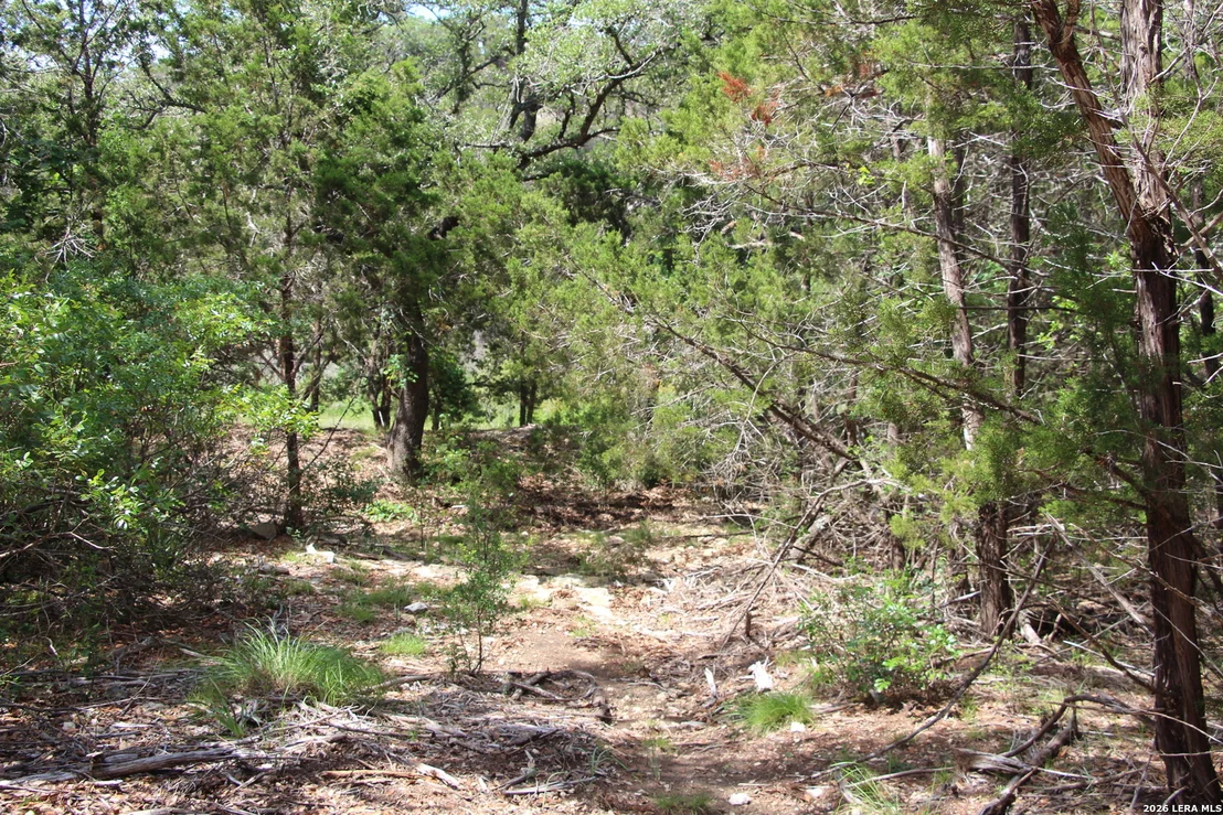 Photo of LOT 52 Clear Water Cyn