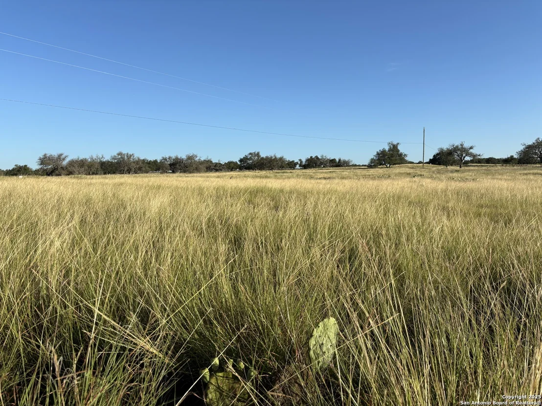 Photo of 183 Lipan Loop