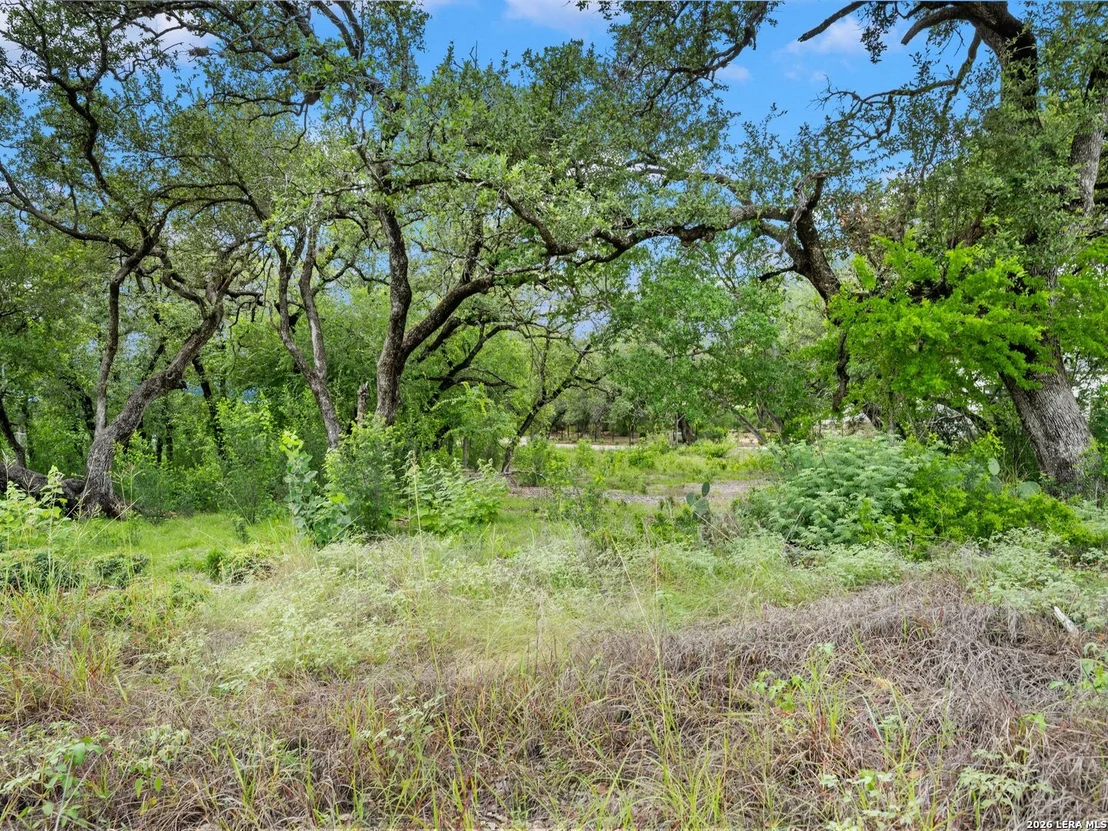 Photo of 11 Viewpark