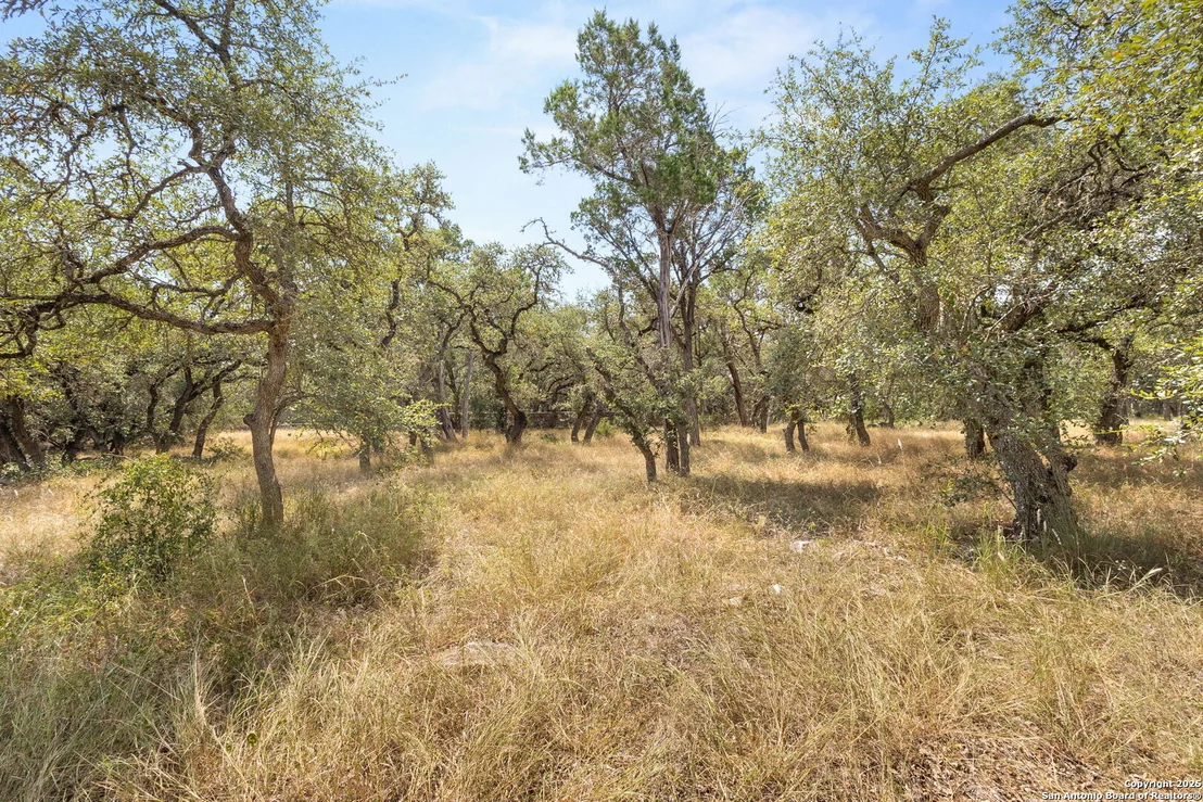 Photo of 25960 Bent Bluff
