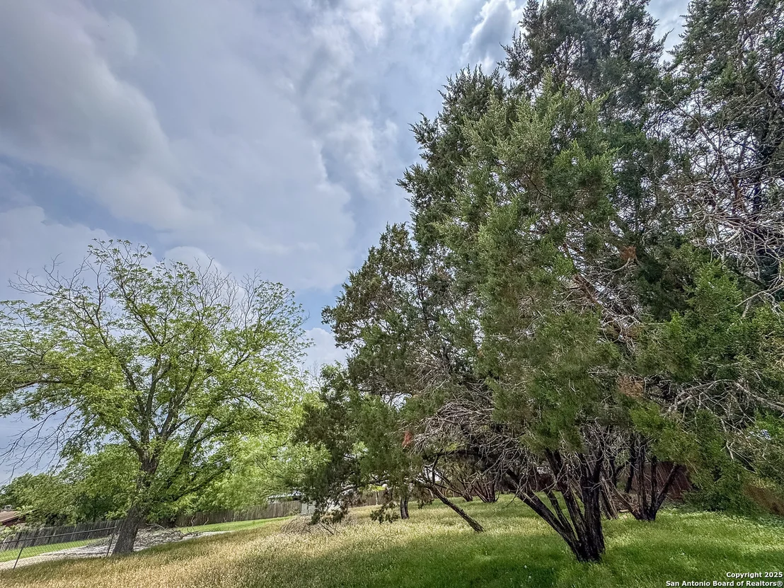 Photo of 1046 Peach Tree