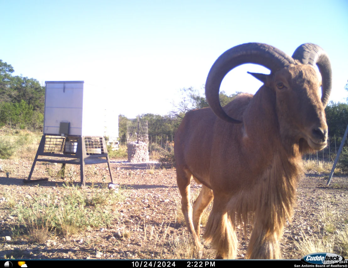 Photo of TBD Mailtrail Rd