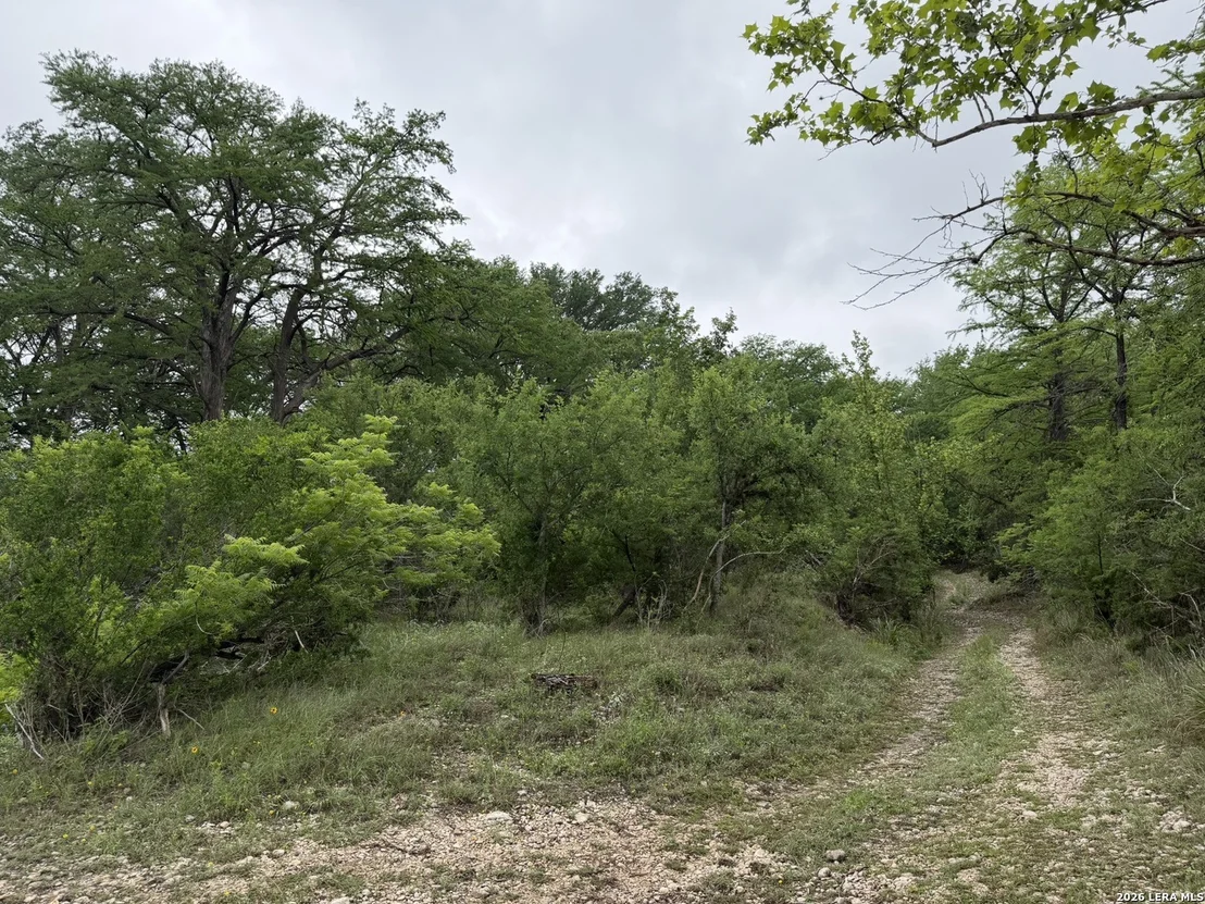 Photo of 261 River Dr