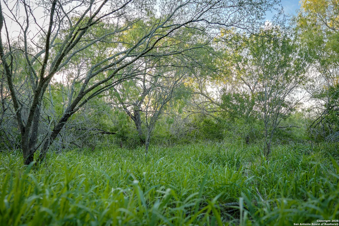 Photo of 6266 Highway 281