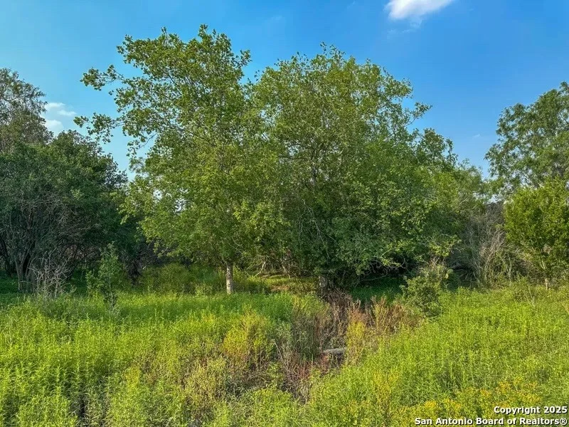 Photo of 1294 CR 429