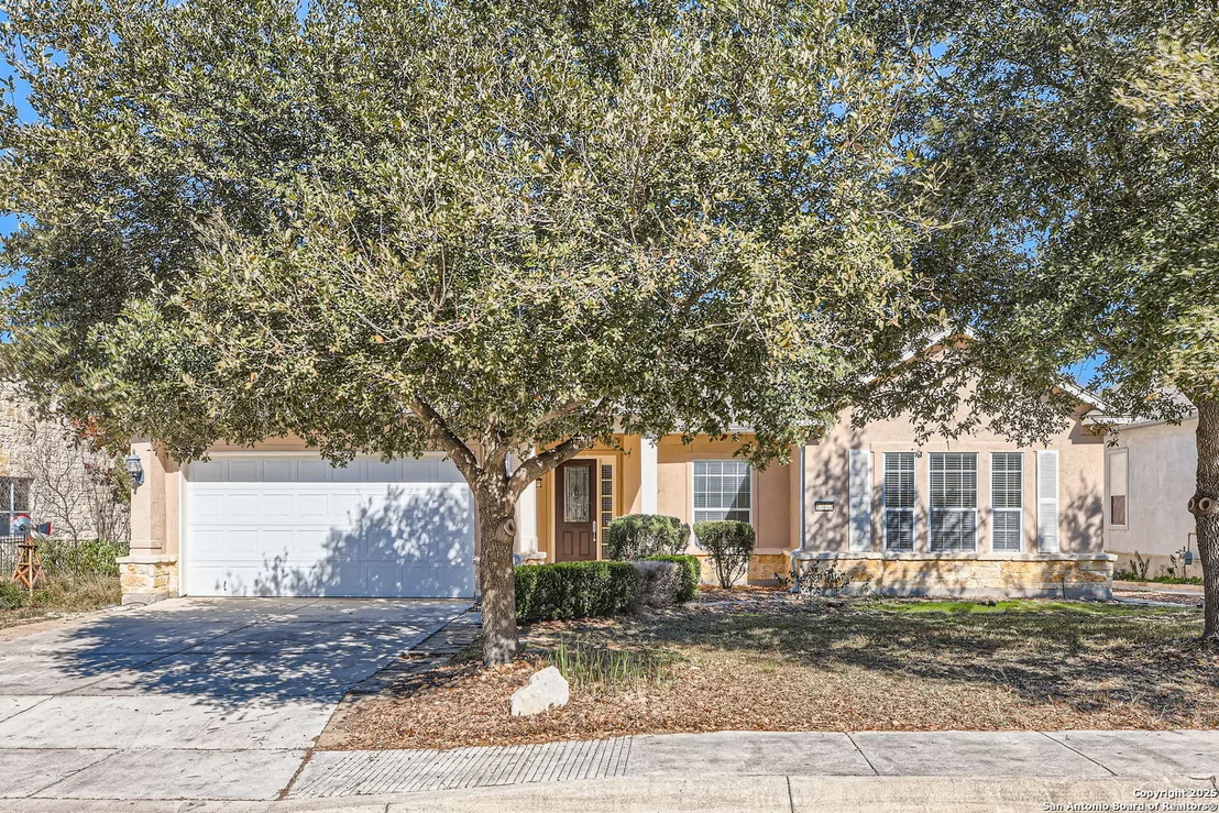 Photo of 12742 Texas Thistle