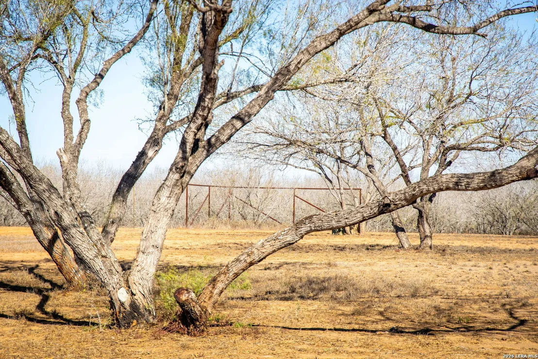 Photo of 320 county road 341
