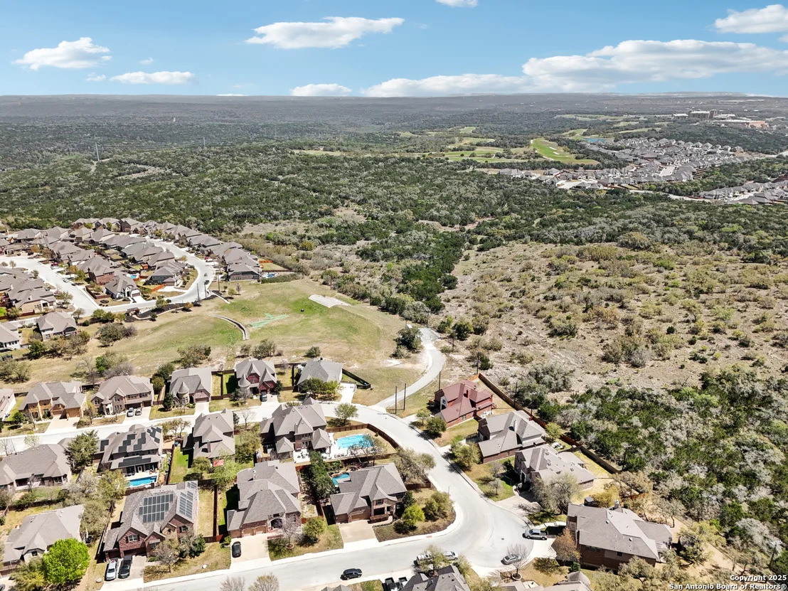 Photo of 25612 Santolina