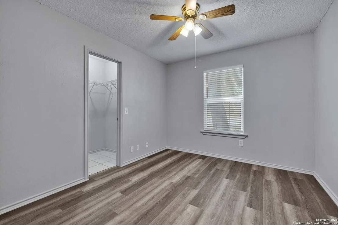 Photo of 14042 Golden Flax