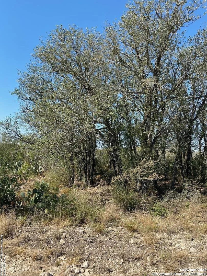 Photo of 249 LEGEND HILLS RD