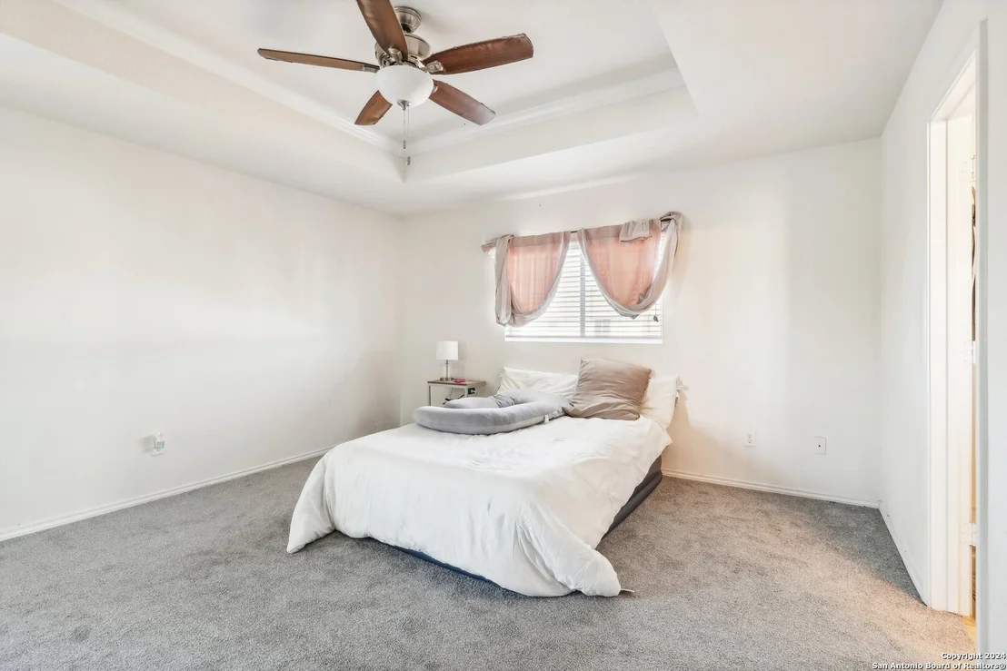 Photo of 155 PRATO PALMA