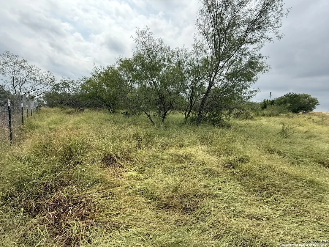 Photo of 131 County Road 2666