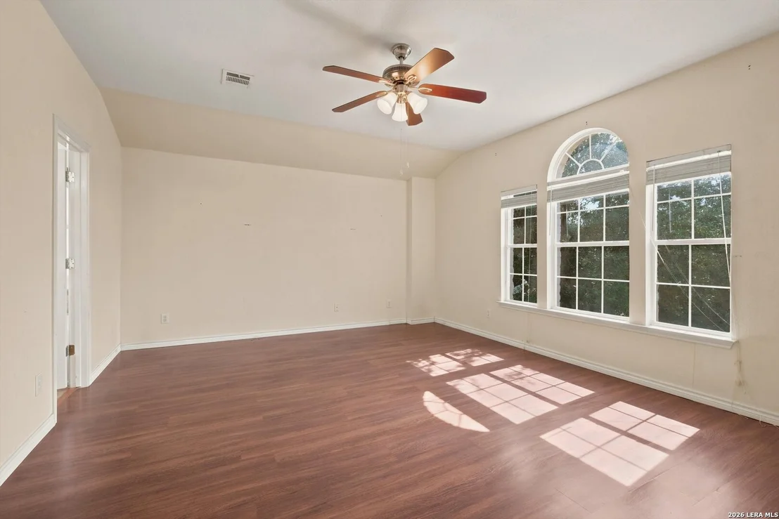 Photo of 802 Celosia