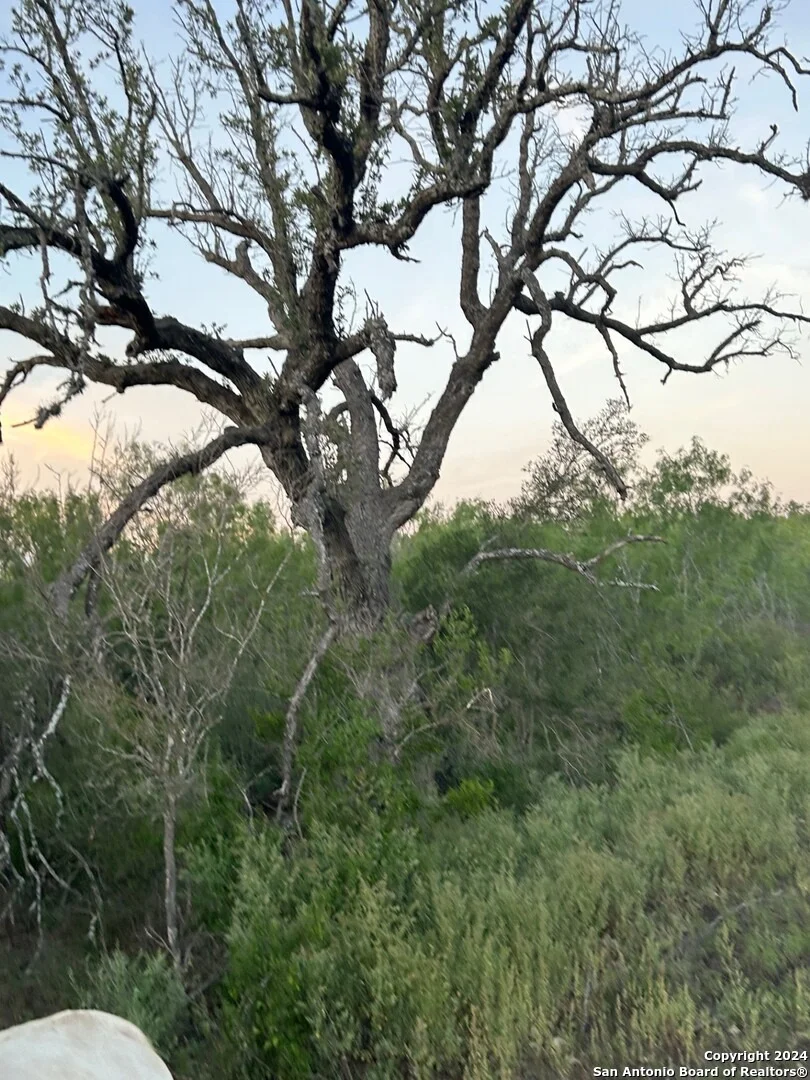 Photo of 000 County Road 562