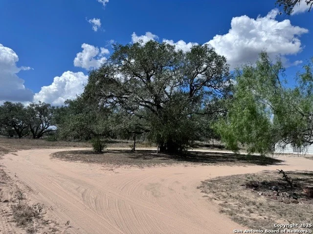 Photo of 2478 Whitley