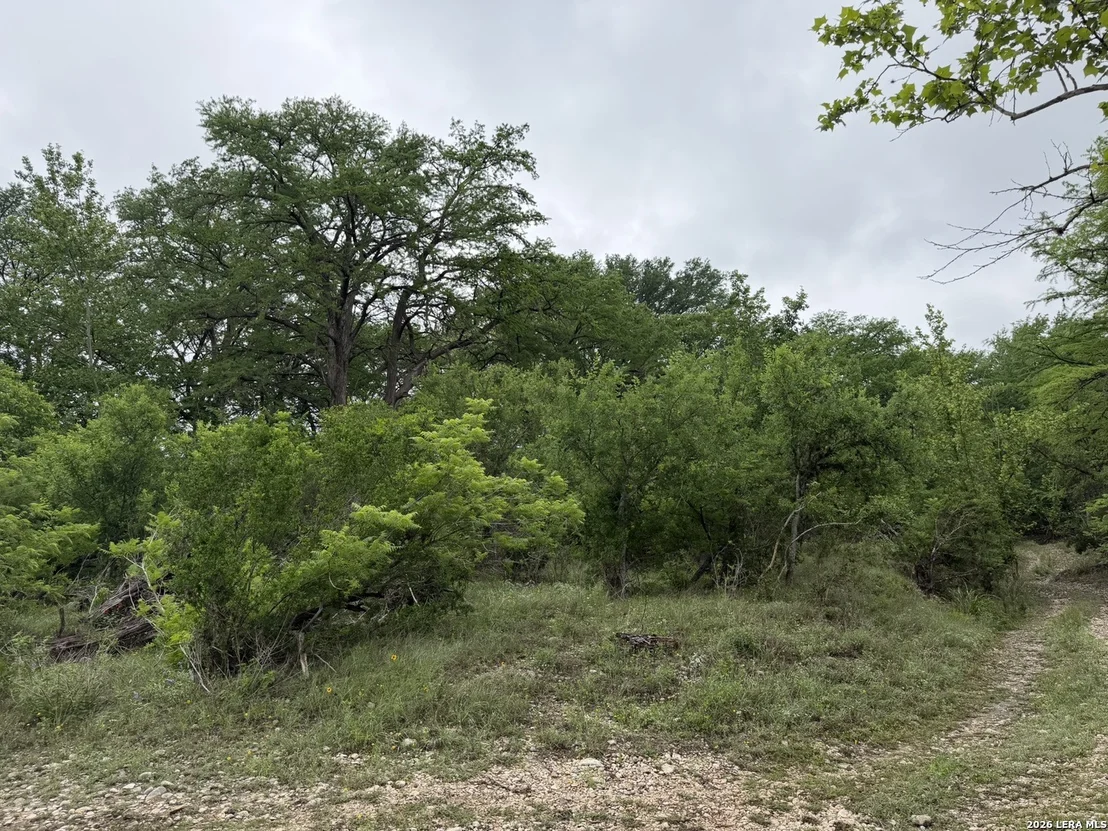 Photo of 261 River Dr