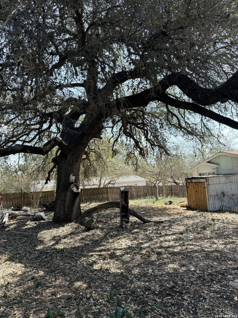 Photo of 22906 skila