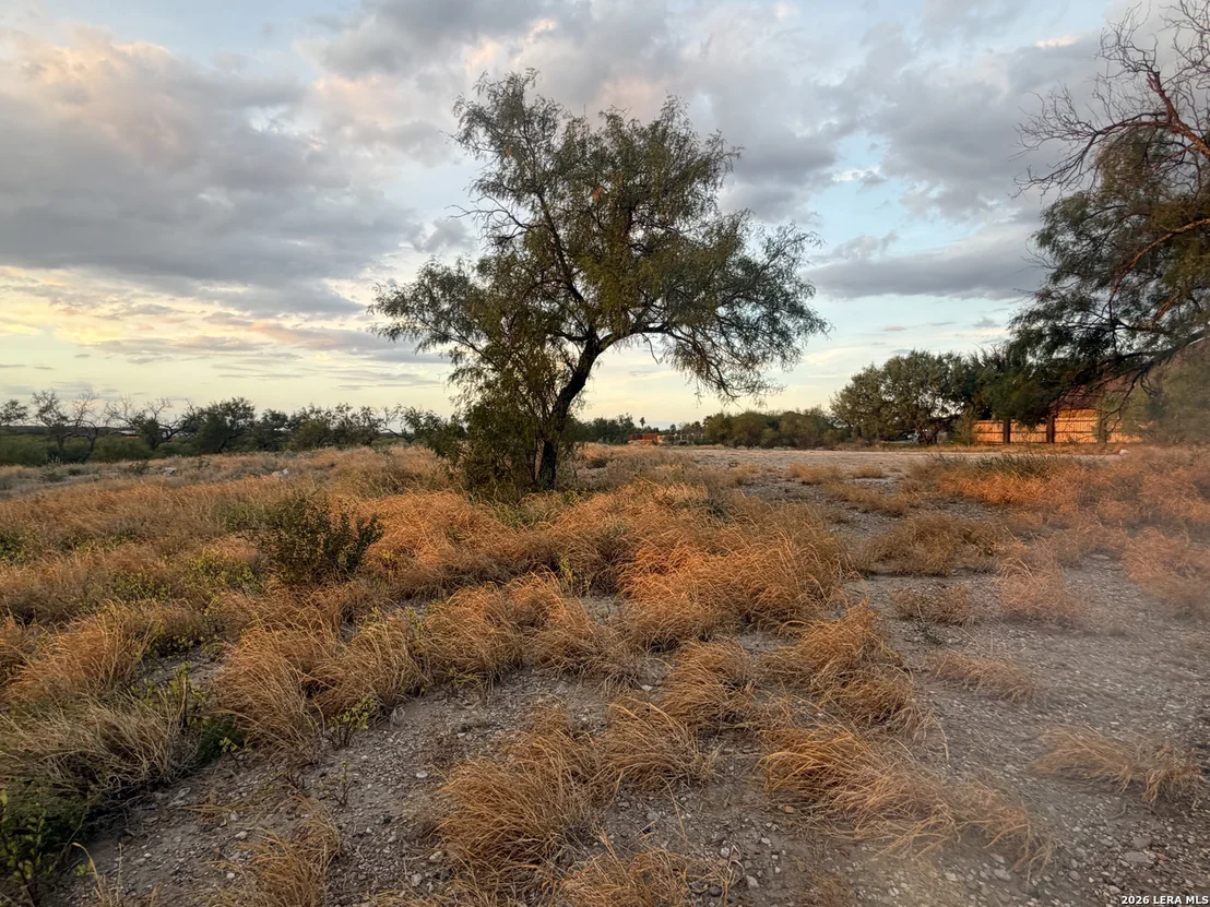 Photo of 875 Ritchie
