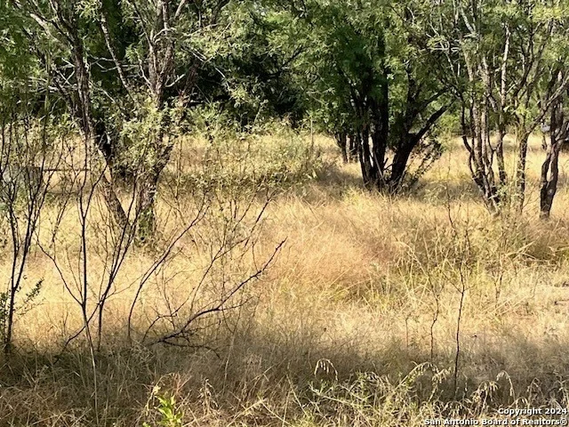 Photo of LOT 94 Pr 2320