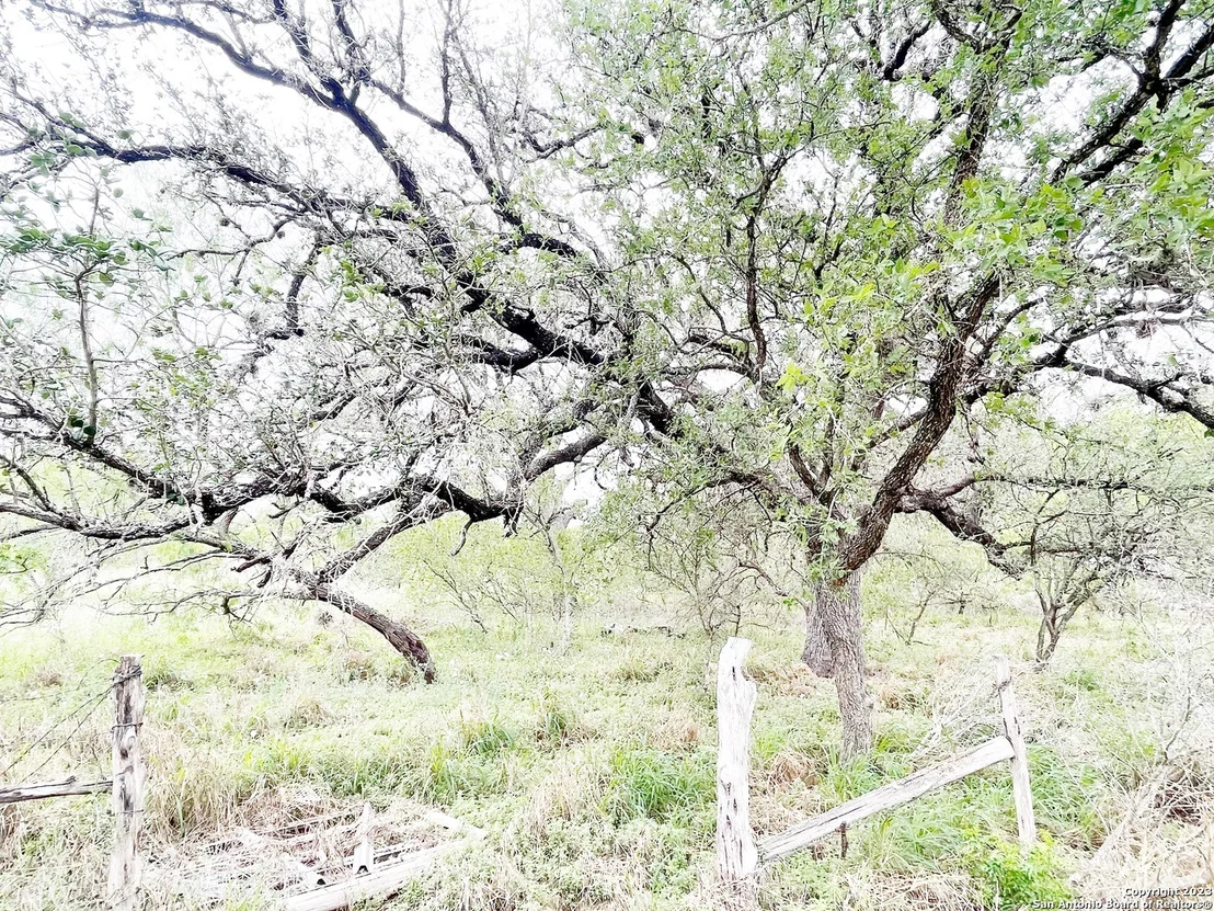 Photo of 1722 COUNTY ROAD 676