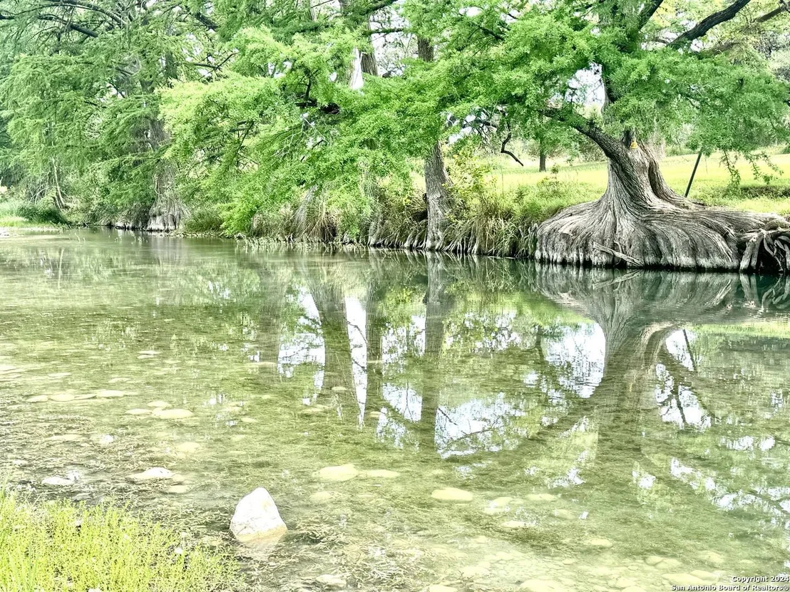 Photo of 29 LONESOME DOVE