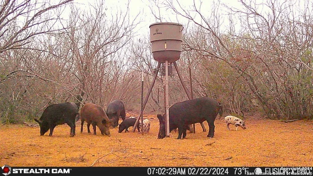 Photo of 0 Carrol Road