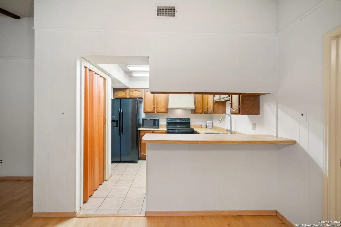 Photo of 1606 forest spring