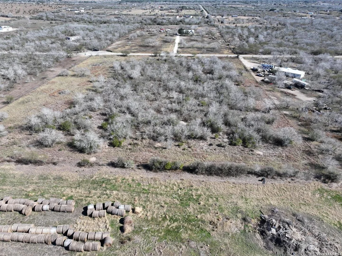 Photo of 219 Nopal