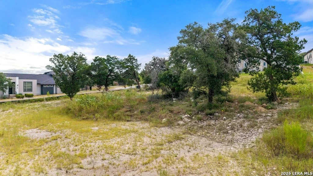 Photo of 25151 Buffalo Clover
