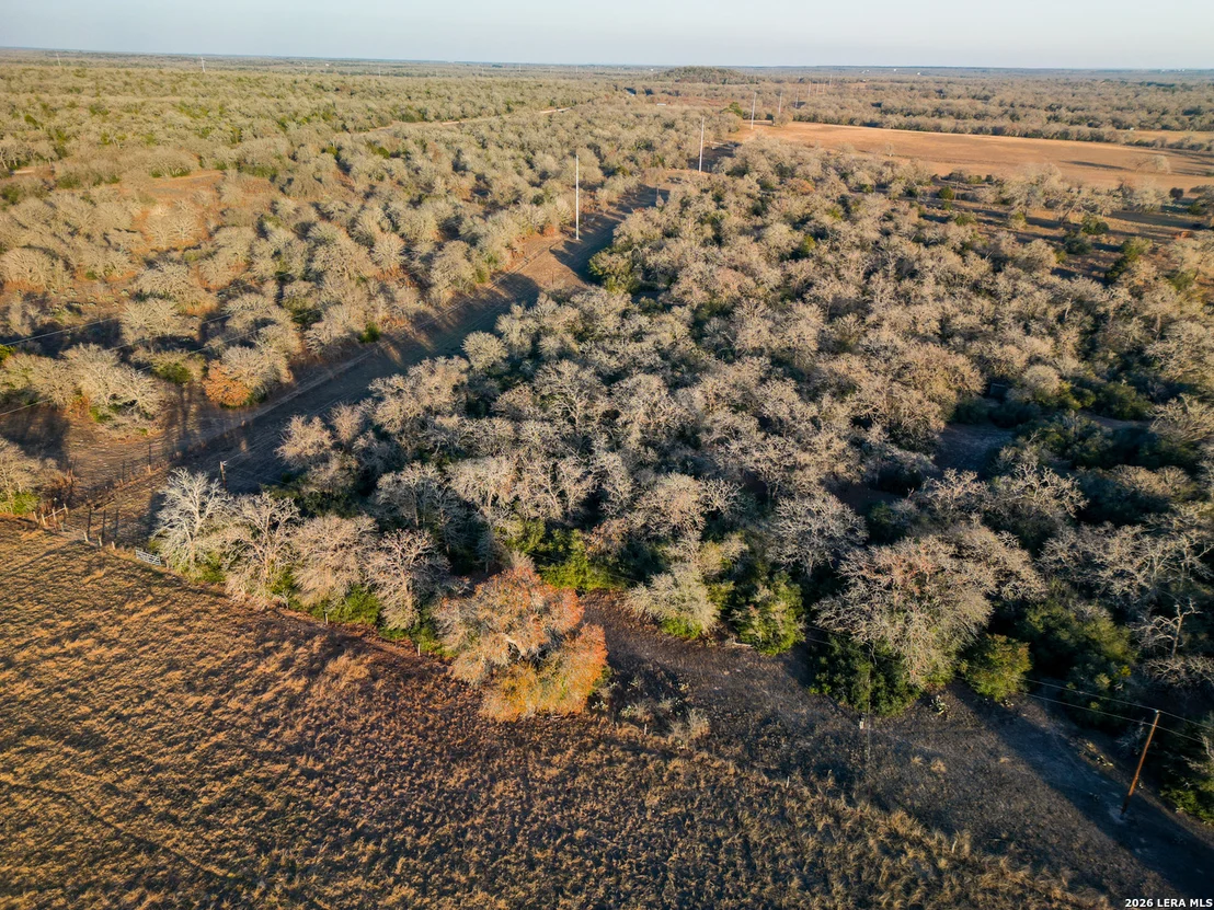 Photo of TBD Sandy Pine