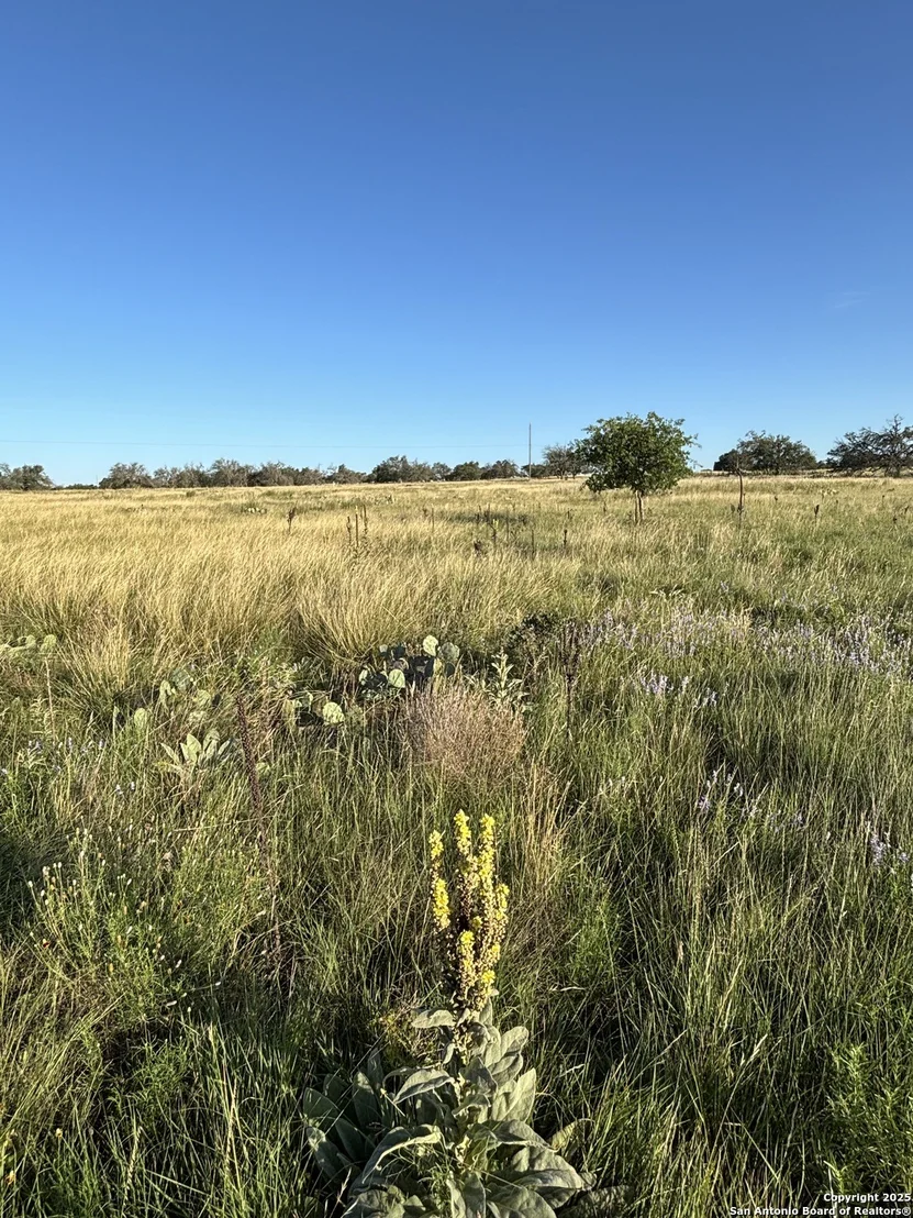 Photo of 183 Lipan Loop