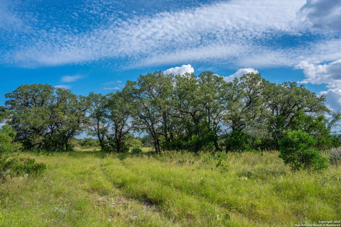 Photo of TBD FM 2169