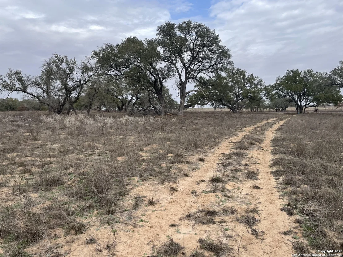 Photo of TRACT 11 COUNTY ROAD 777