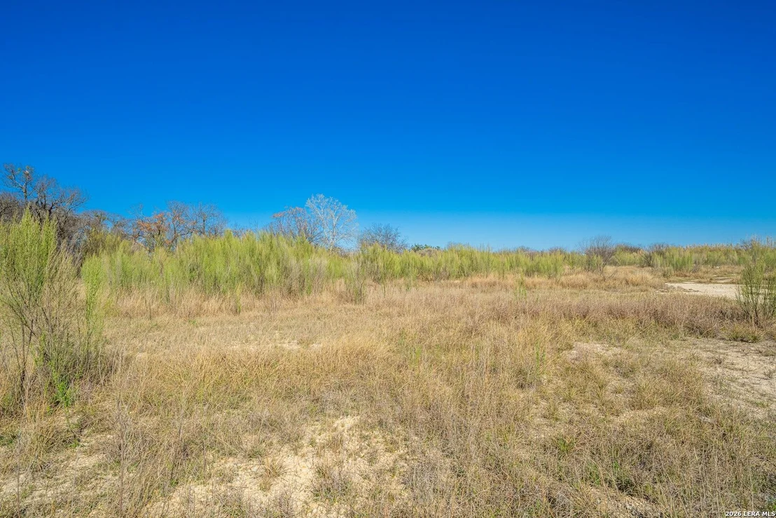 Photo of 00 Impala Summit