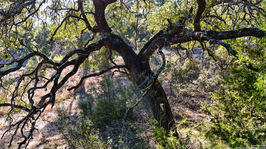 Photo of 3010 Campestres