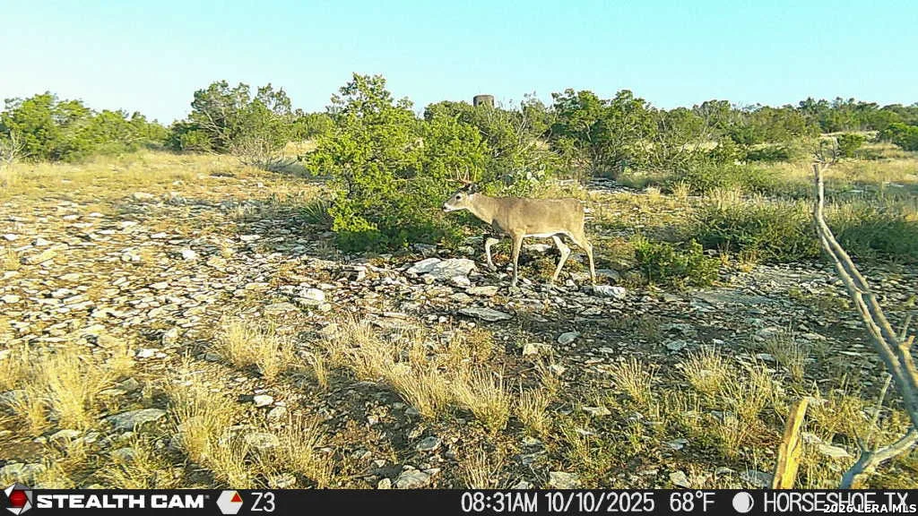 Photo of 0 W Cooper Rd