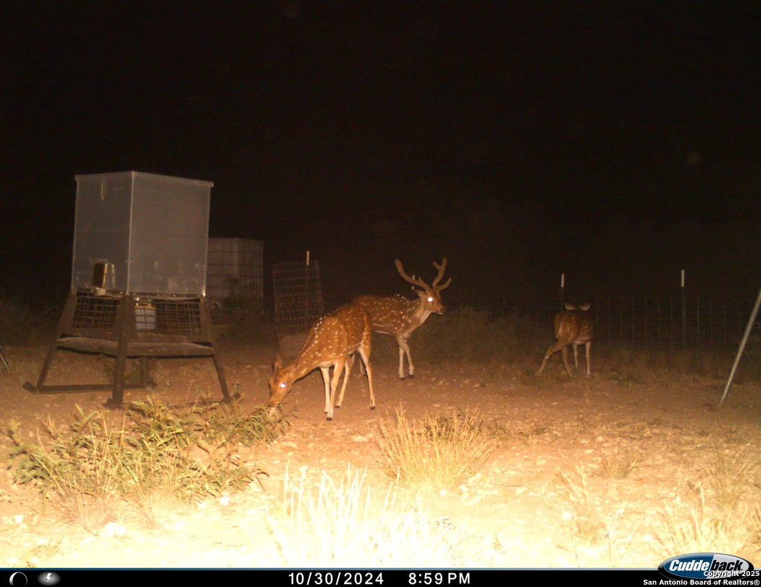 Photo of TBD Mailtrail Rd