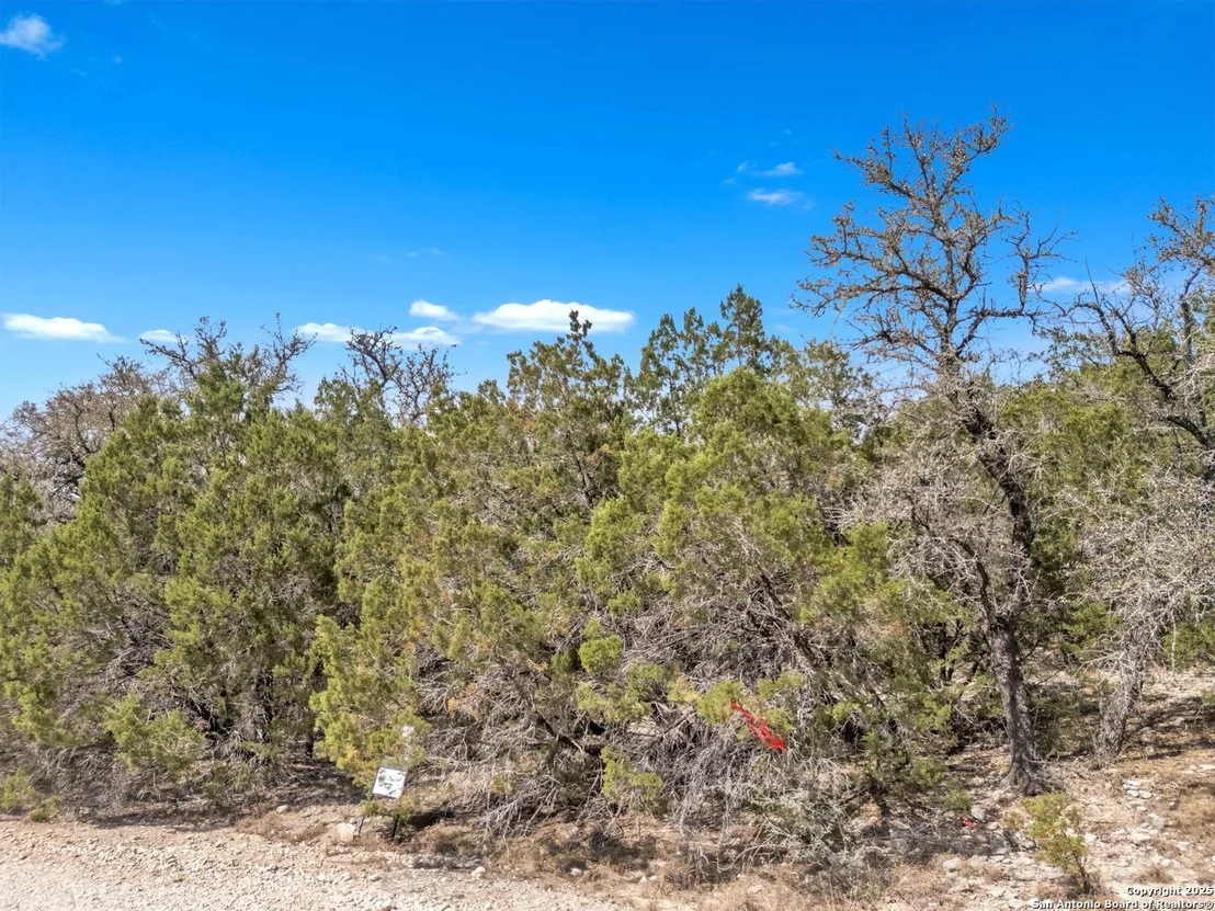Photo of 000 Frio Canyon Loop