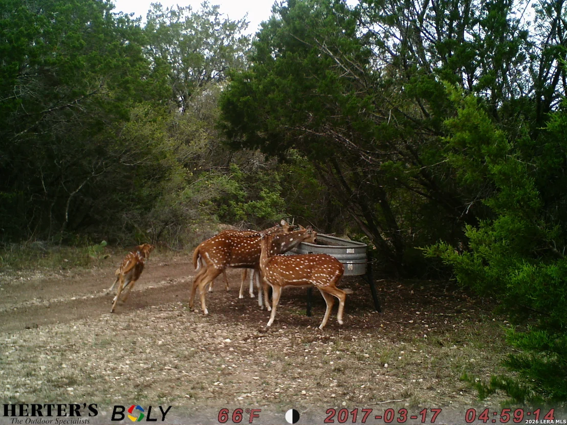 Photo of 25 SD 65065  Dusty Rose Ranch